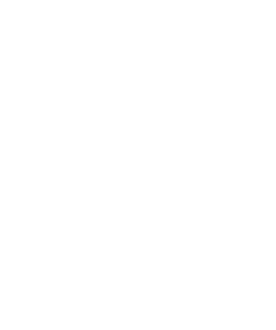 Osprey Hotel Logo